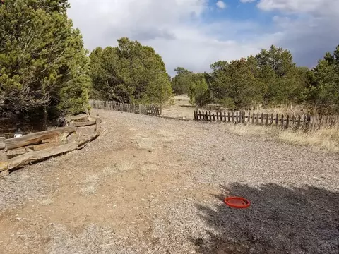 1739 14th Trl, Cotopaxi, CO 81223 photo 26