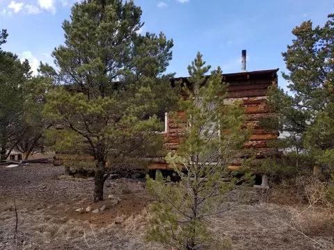 1739 14th Trl, Cotopaxi, CO 81223 photo 59