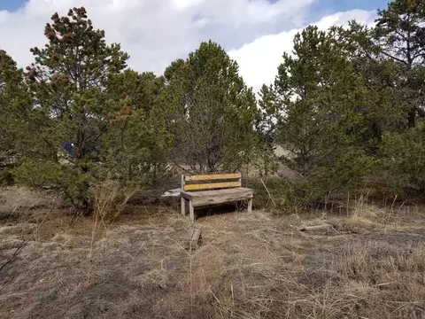 1739 14th Trl, Cotopaxi, CO 81223 photo 66