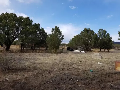 1739 14th Trl, Cotopaxi, CO 81223 photo 68