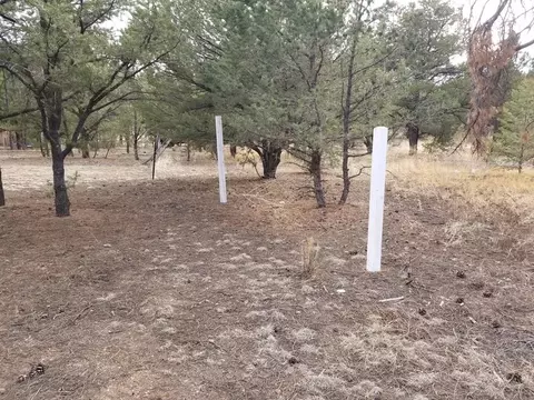 1739 14th Trl, Cotopaxi, CO 81223 photo 69