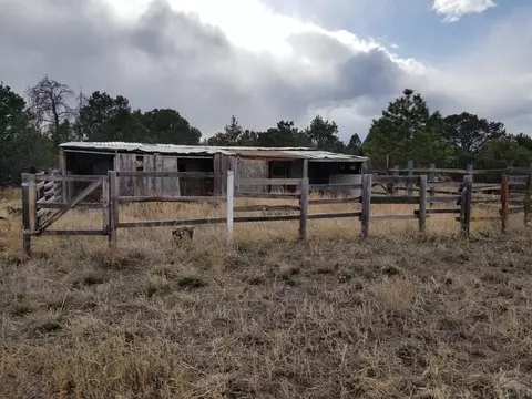 1739 14th Trl, Cotopaxi, CO 81223 photo 23