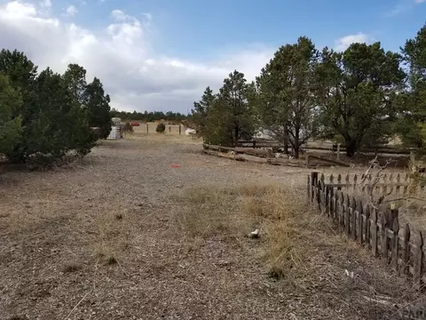 1739 14th Trl, Cotopaxi, CO 81223 photo 56