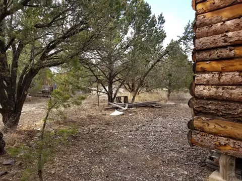 1739 14th Trl, Cotopaxi, CO 81223 photo 62