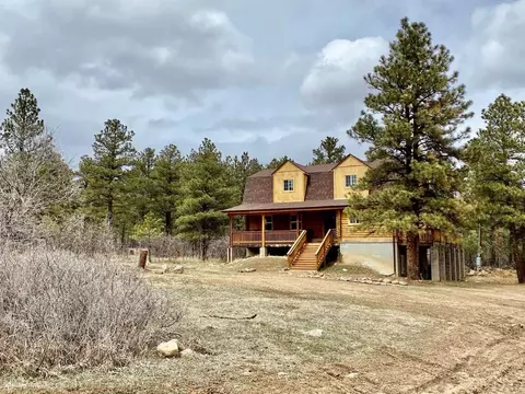 8095 Elna, Rye, CO 81069 photo 41
