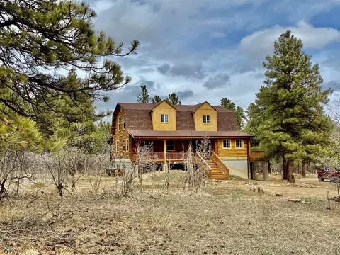 8095 Elna, Rye, CO 81069 photo 40