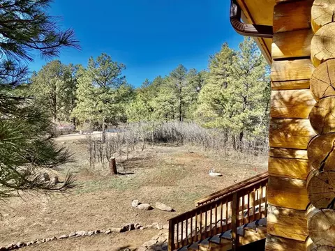 8095 Elna, Rye, CO 81069 photo 36