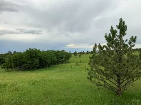 10724 Bartlett Trl, Rye, CO 81069 photo 32