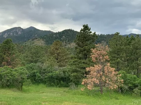 10724 Bartlett Trl, Rye, CO 81069 photo 31
