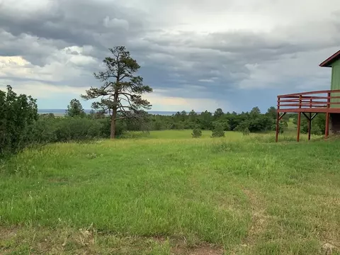 10724 Bartlett Trl, Rye, CO 81069 photo 4