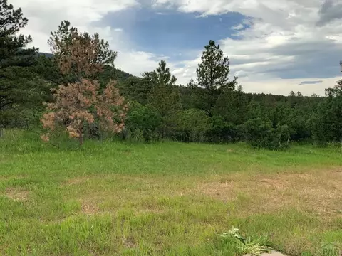 10724 Bartlett Trl, Rye, CO 81069 photo 7