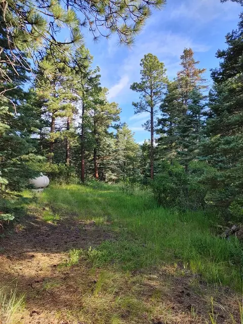 10985 Bartlett Trl, Rye, CO 81069 photo 5