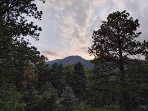 10985 Bartlett Trl, Rye, CO 81069 photo 10