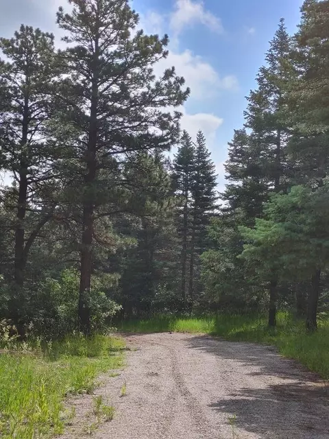 10985 Bartlett Trl, Rye, CO 81069 photo 7