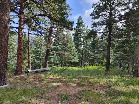 10985 Bartlett Trl, Rye, CO 81069 photo 8