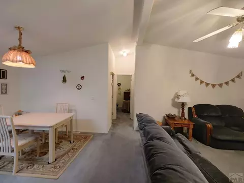 10985 Bartlett Trl, Rye, CO 81069 photo 22