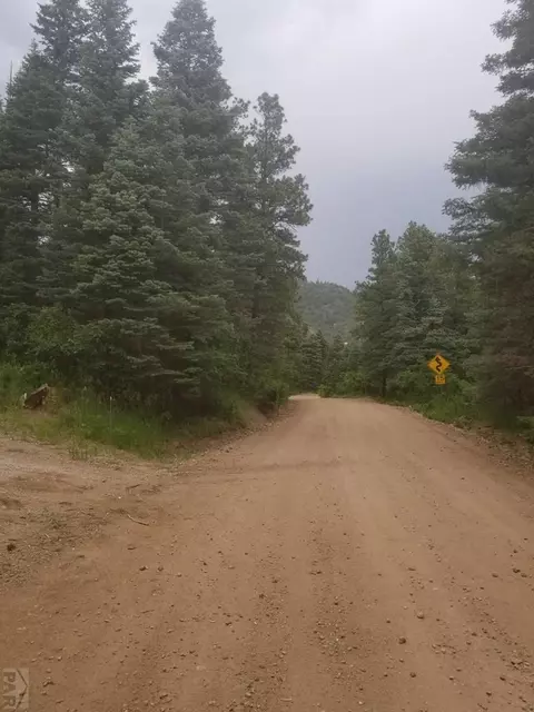 10985 Bartlett Trl, Rye, CO 81069 photo 3