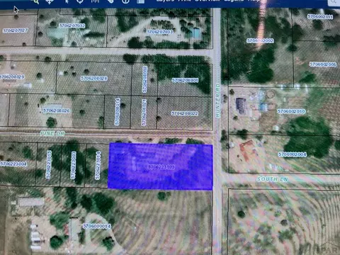 8052 Pine Dr, Rye, CO 81069 photo 48