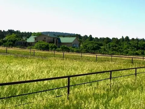 8052 Pine Dr, Rye, CO 81069 photo 38