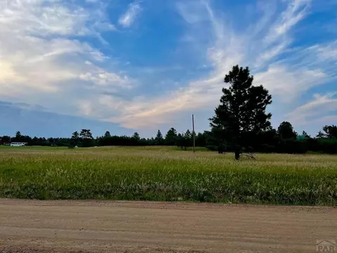 8052 Pine Dr, Rye, CO 81069 photo 49