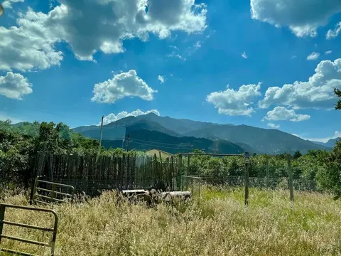 8052 Pine Dr, Rye, CO 81069 photo 32