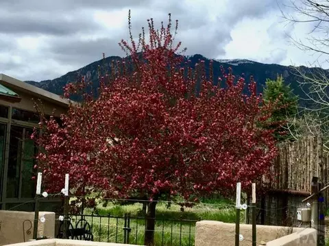 8052 Pine Dr, Rye, CO 81069 photo 5