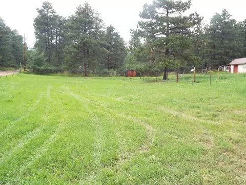 8245 Green Ln, Rye, CO 81069 photo 5