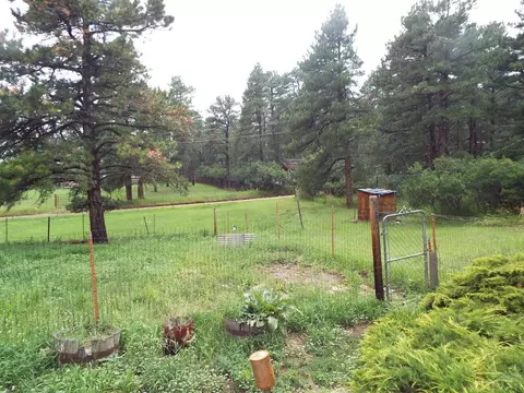 8245 Green Ln, Rye, CO 81069 photo 12