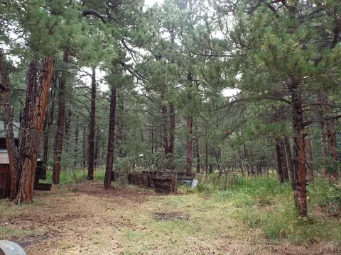 8245 Green Ln, Rye, CO 81069 photo 11