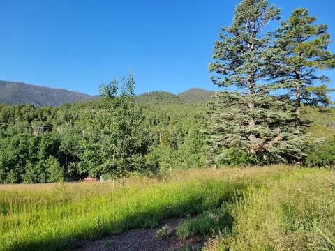 9775 State Hwy 165, Rye, CO 81069 photo 17