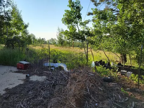 9775 State Hwy 165, Rye, CO 81069 photo 5