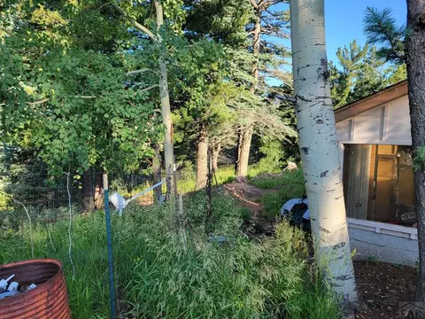9775 State Hwy 165, Rye, CO 81069 photo 7