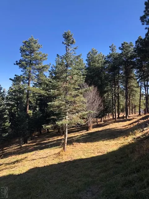 8511 Cuerna Verde Rd, Rye, CO 81069 photo 13
