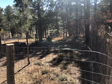 8511 Cuerna Verde Rd, Rye, CO 81069 photo 8
