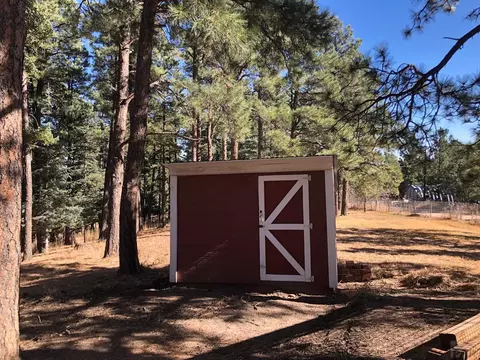 8511 Cuerna Verde Rd, Rye, CO 81069 photo 15