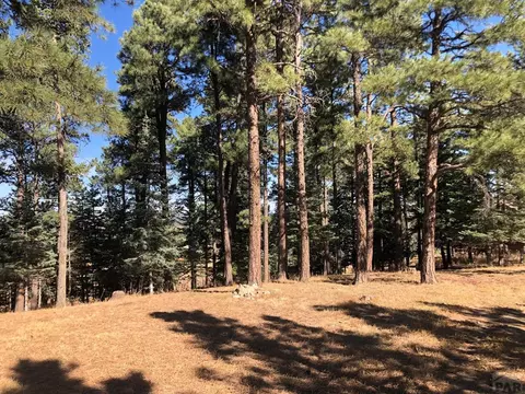 8511 Cuerna Verde Rd, Rye, CO 81069 photo 16