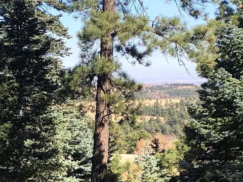 8511 Cuerna Verde Rd, Rye, CO 81069 photo 34