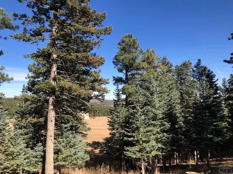 8511 Cuerna Verde Rd, Rye, CO 81069 photo 14
