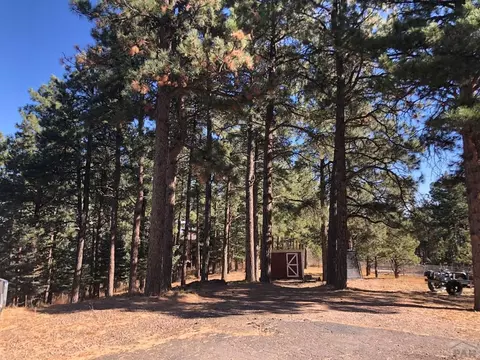 8511 Cuerna Verde Rd, Rye, CO 81069 photo 4