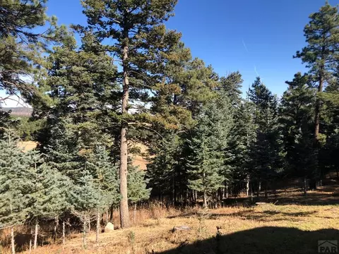 8511 Cuerna Verde Rd, Rye, CO 81069 photo 11