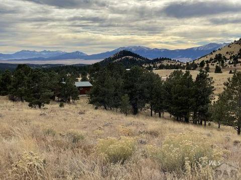 98 Junkins Loop, Westcliffe, CO 81252 photo 1