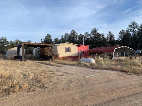 Undisclosed, Cotopaxi, CO 81223 photo 1