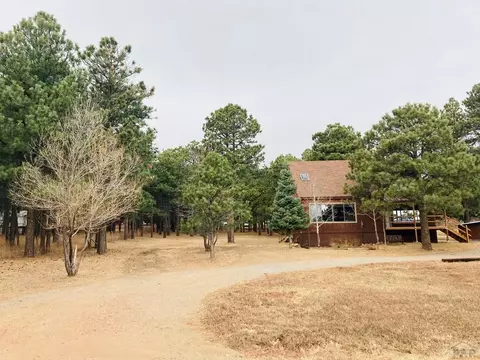 10625 Arnold Ln, Rye, CO 81069 photo 33