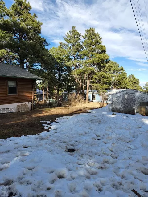 8138 Oak Dr, Rye, CO 81069 photo 36