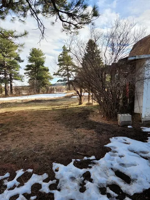 8138 Oak Dr, Rye, CO 81069 photo 29