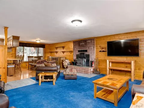 8227 William Dr, Rye, CO 81069 photo 18