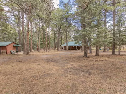8227 William Dr, Rye, CO 81069 photo 6