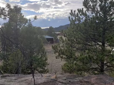 4575 Doe Vly, Guffey, CO 80820 photo 47