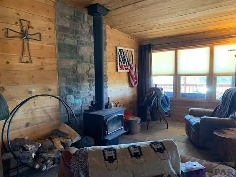 4575 Doe Vly, Guffey, CO 80820 photo 2