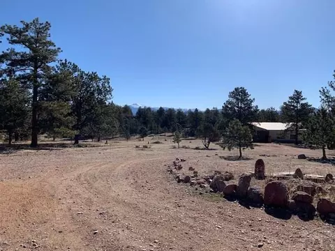 4575 Doe Vly, Guffey, CO 80820 photo 44
